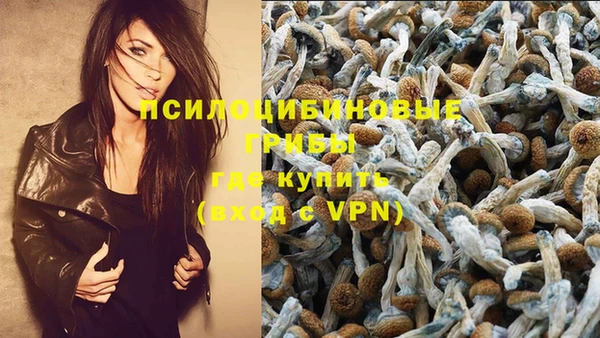 бутират Заводоуковск