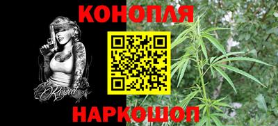 не бодяженный Гай