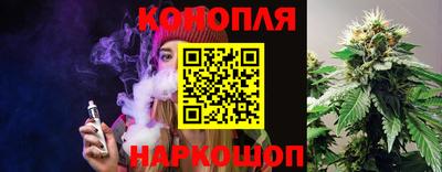 не бодяженный Гай