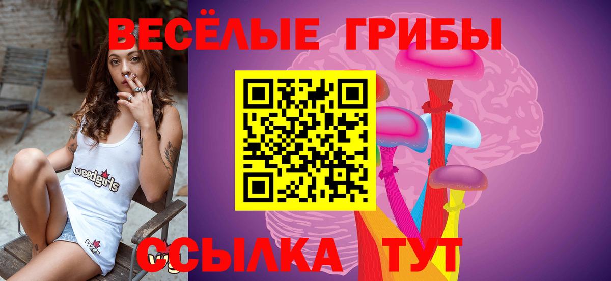 где купить наркотик  Псилоцибиновые грибы Psilocybe  Галлюциногенные грибы Psilocybine cubensis  Вход с VPN  Калуга 
